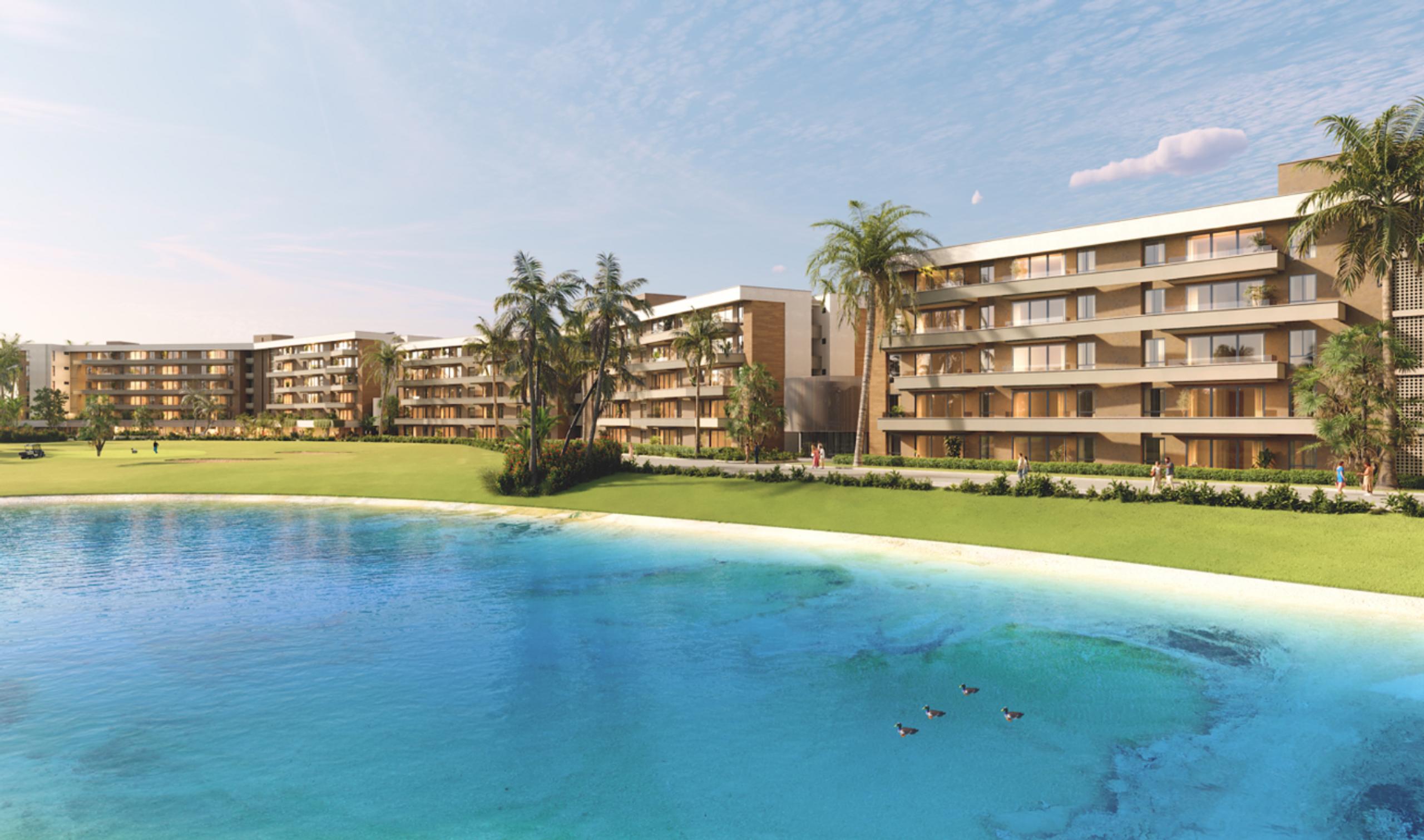 Palm View